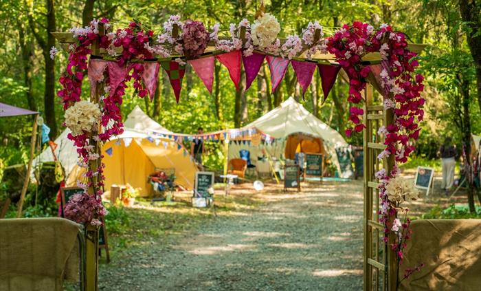 Between the Trees - Glamping